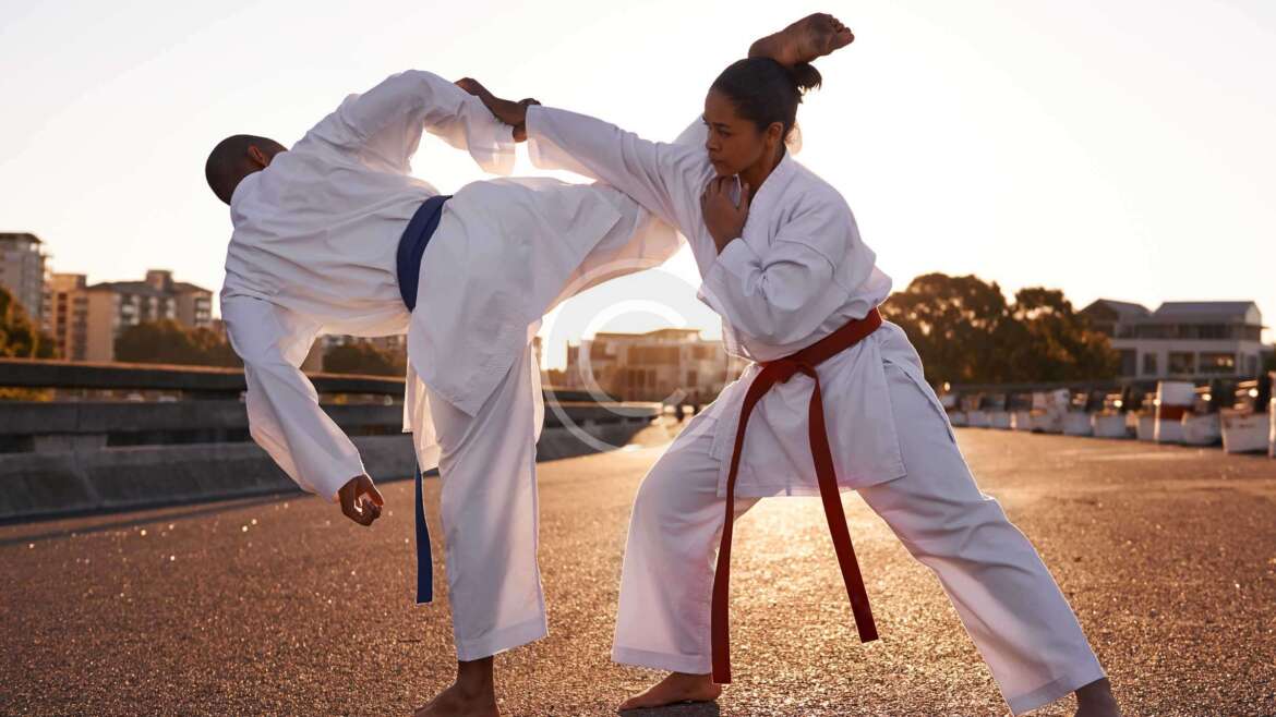 Brazilian Jiu-Jitsu